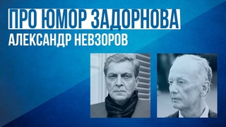 Невзоров про юмор Задорнова!