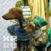 Аватар: Зорянка Балушка