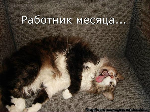 №38, Инна Пак, Севастополь №38, Инна Пак, Севастополь