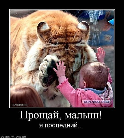 №80, Любовь Кузнецова, Москва №80, Любовь Кузнецова, Москва