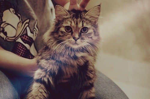 Евгений Евгений | 