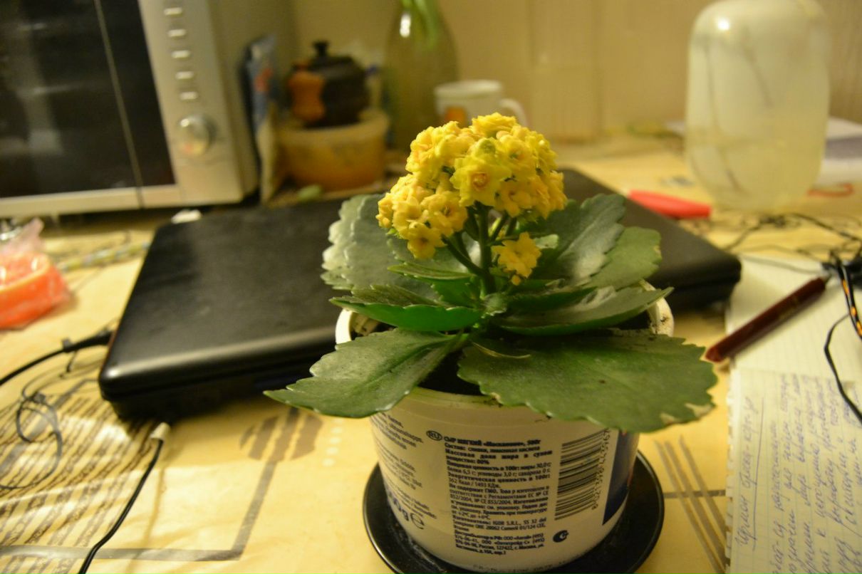 Александр Лазарев SLOGUNMAN | Тюмень