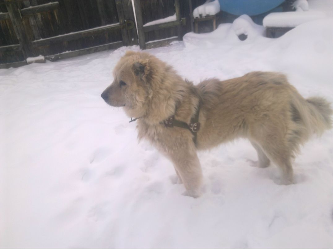 Коля Попов | Якутск