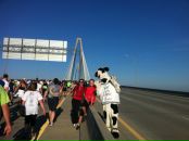 №39 Ksenia Hayes 29.08: профиль, фото, статус - ВКонтакте