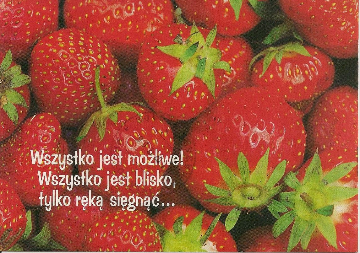 Ксения Зарипова | Москва