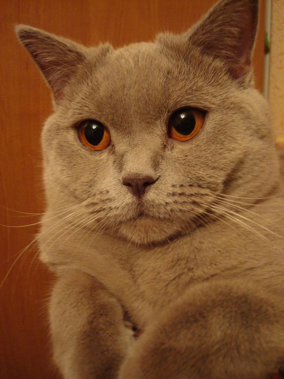 Дарья Радаева | Мариуполь