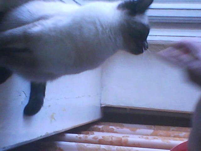 Мария Ткачёва | Казань