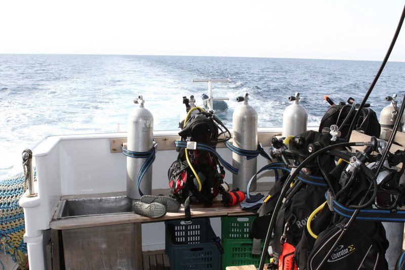 Константин Михайлович | Санкт-Петербург