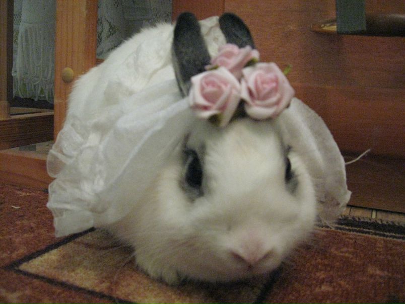 №14, Ирина Коробко, Симферополь №14, Ирина Коробко, Симферополь