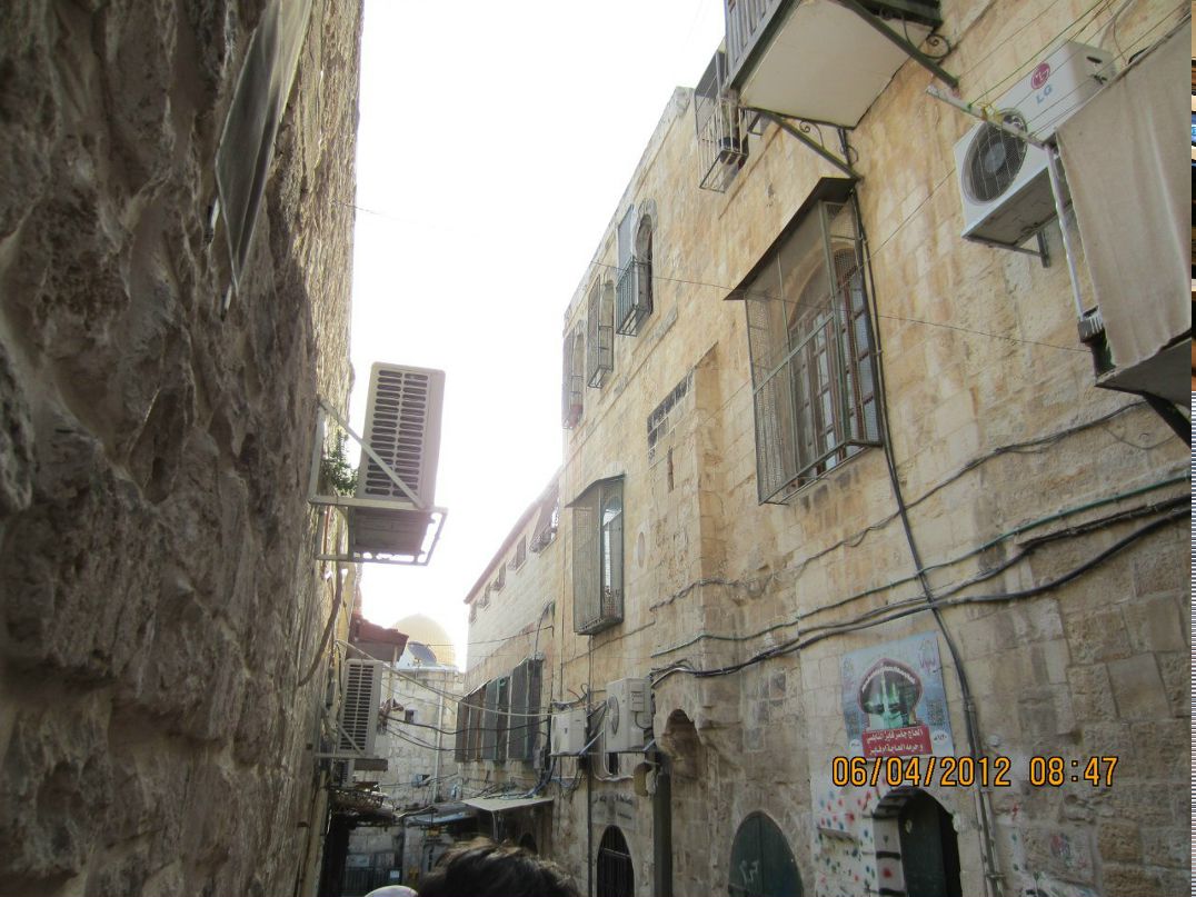 Алёна Харина | Вологда