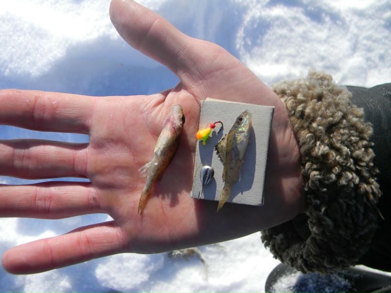 Павел Цыганов | Томск