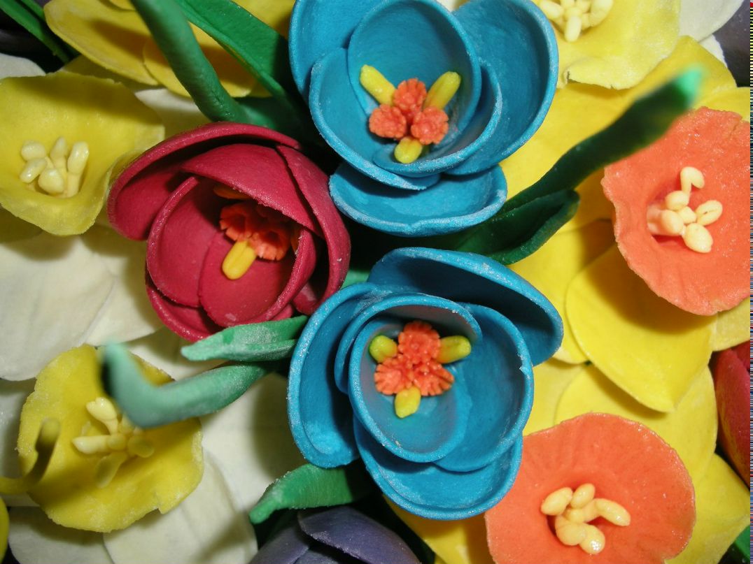 Елена Рак | Бровары