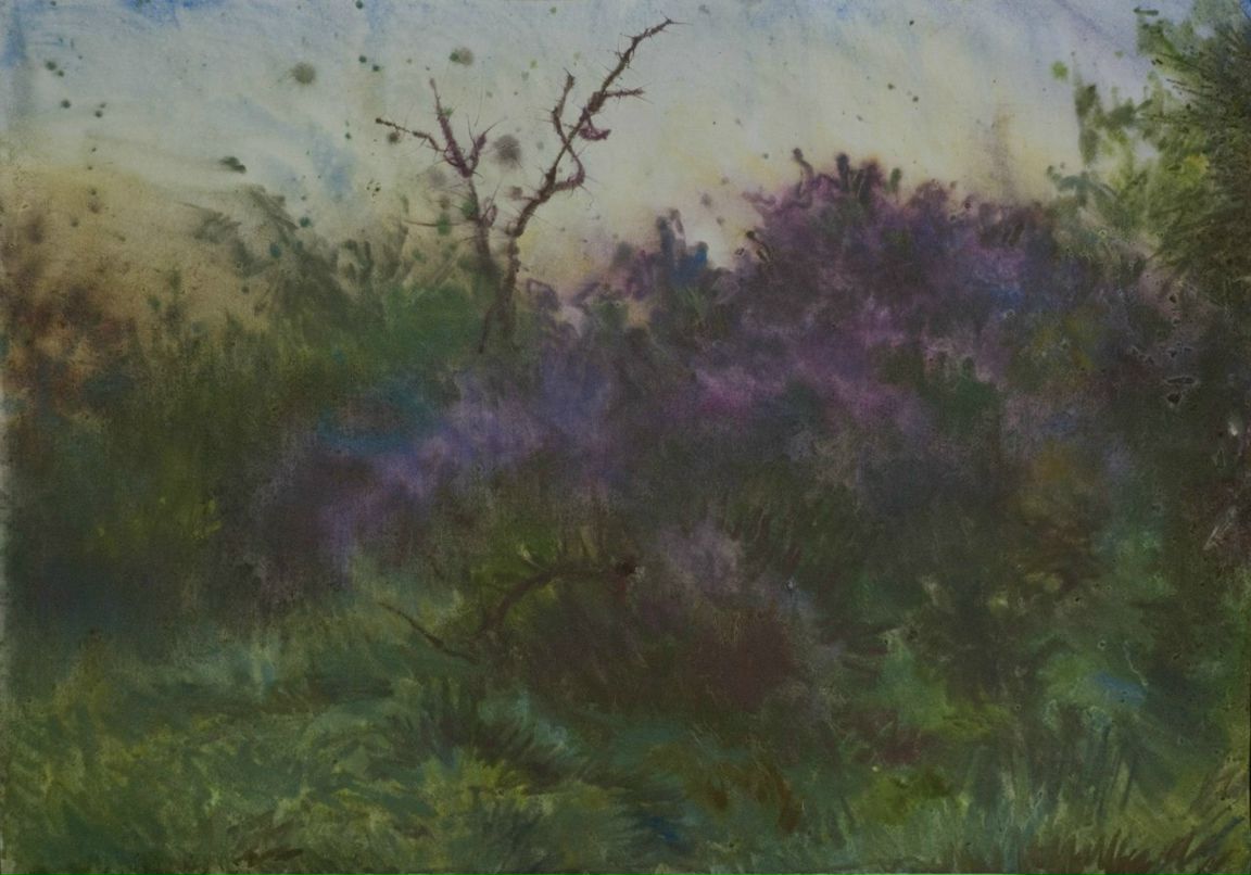 Сандро Руснак | Москва