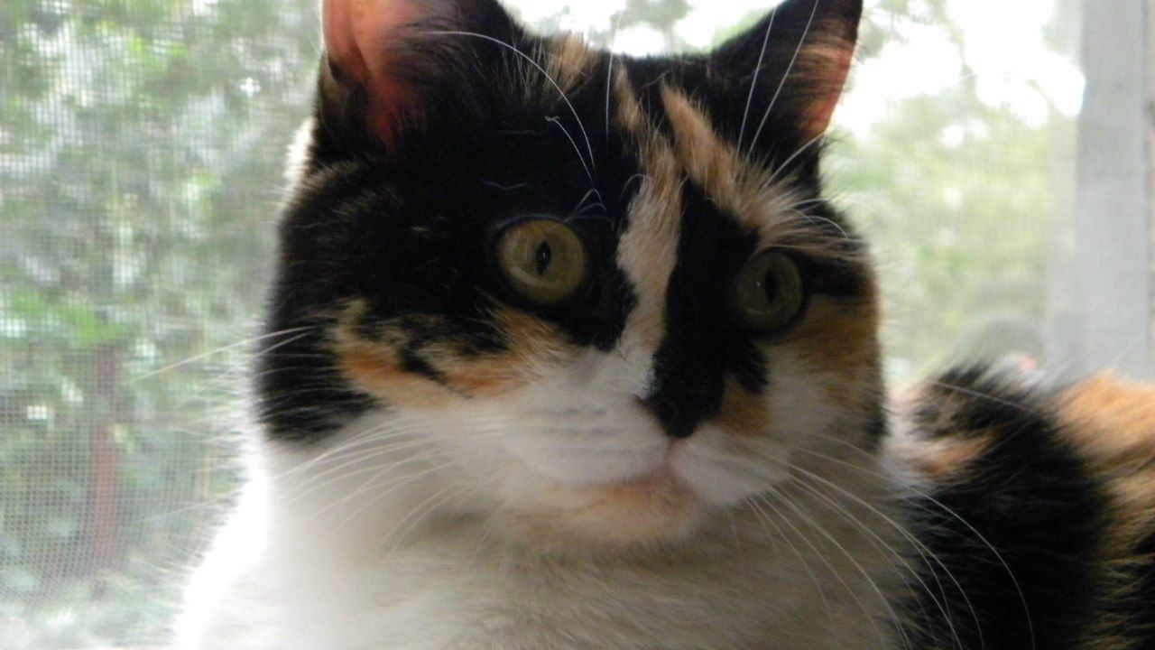 Татьяна Емец | Липецк