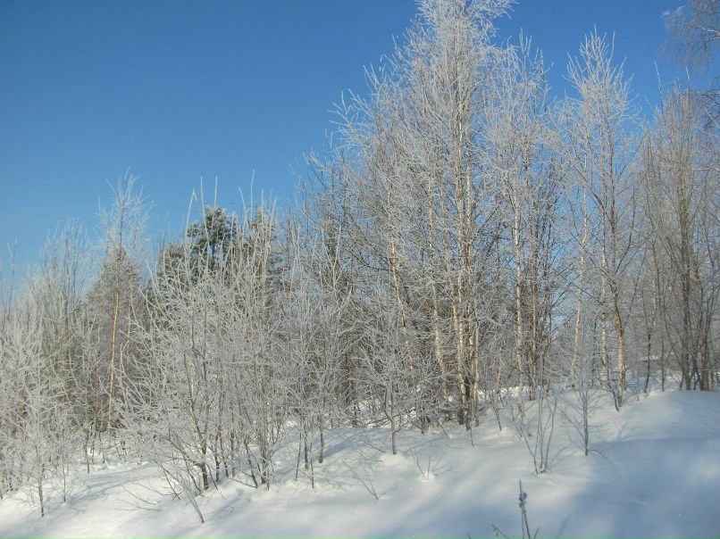 Маргарита Егорова | Саратов