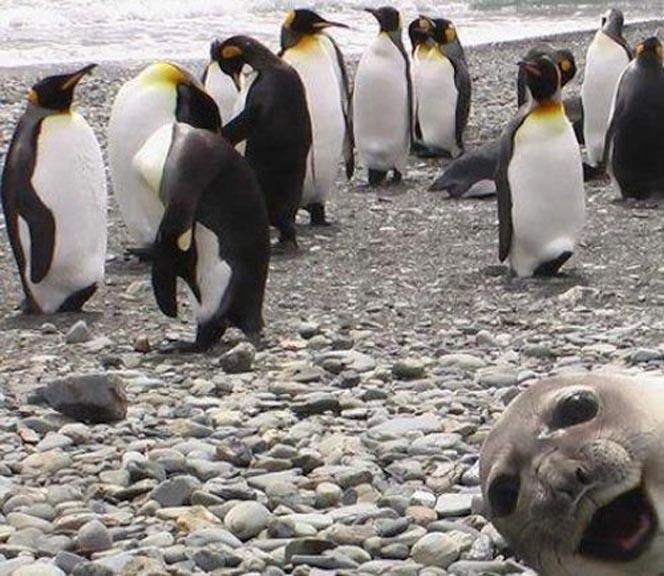 Елена Азарова | Москва