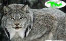 Фотография Альберт Шилин