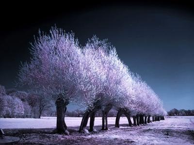 Влад Пушкарский | 