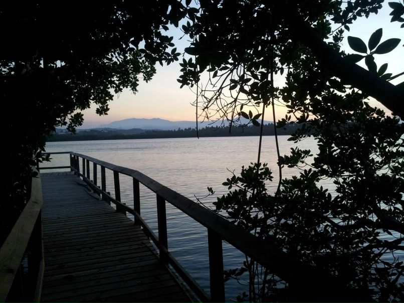 Сергей Хоренко (Zhorik, Malish) | New York City