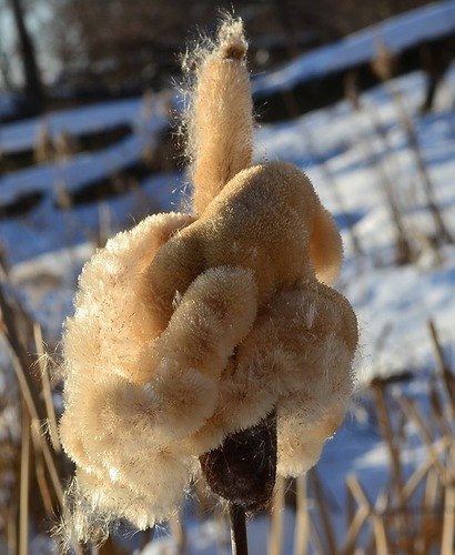 Сергей Иванов | Краснодар