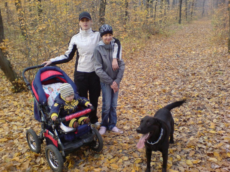 Алёна Добровольская | Ладыжин