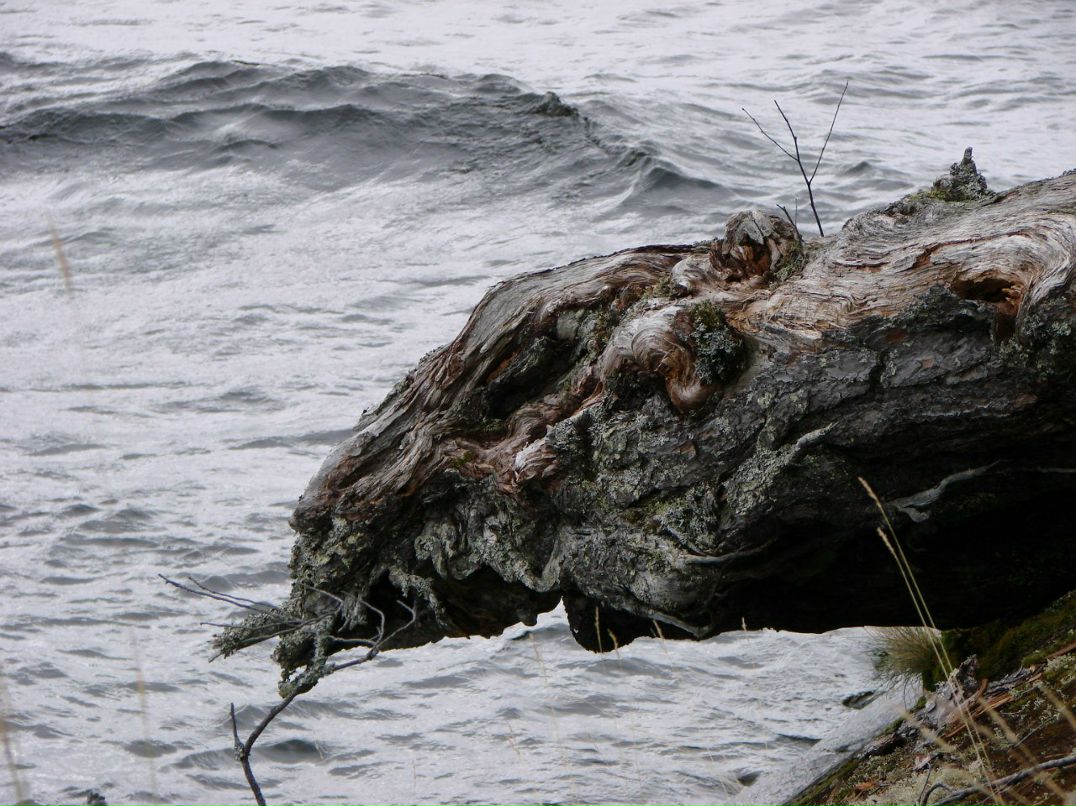 Евгений Осипов | Петрозаводск