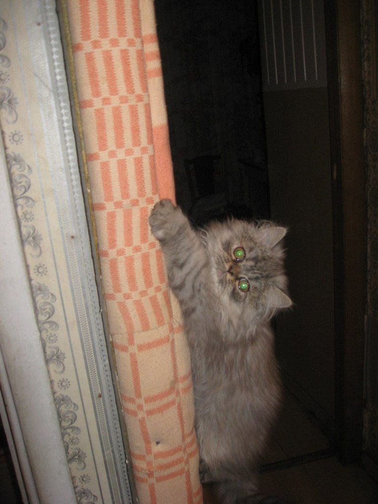 Александр Секисов | Санкт-Петербург