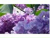 Нина Хайруллина | Краснокамск