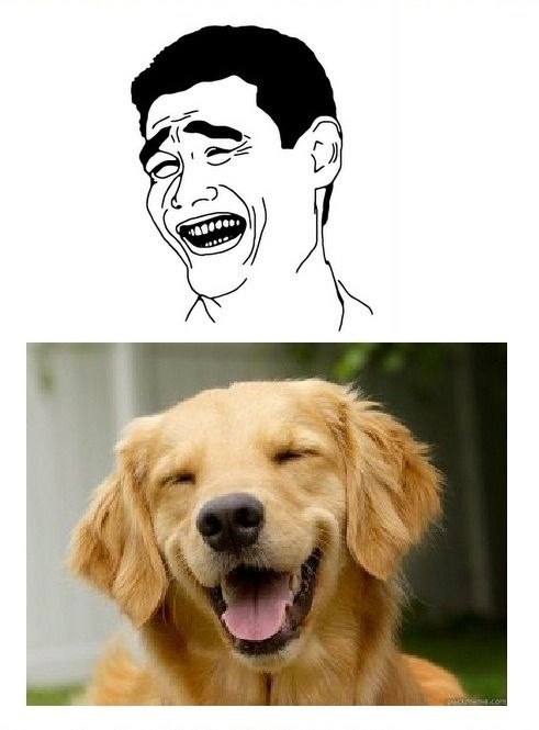 Ирина Лымарь | Киев