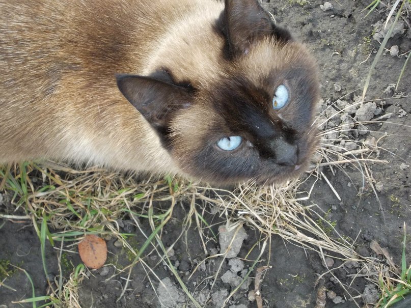 Юлия Ярошенко | 