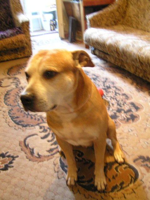 Руслана Гринькова | Киев