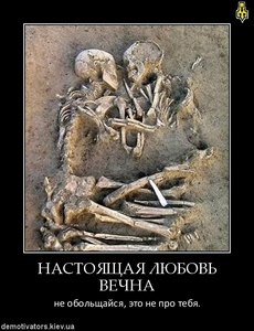 Дмитрий Медяник | Черкассы