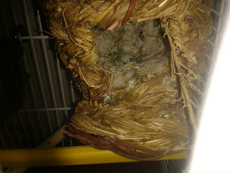 №184, Александр Калдыба, 38 лет, Санкт-Петербург №184, Александр Калдыба, 38 лет, Санкт-Петербург