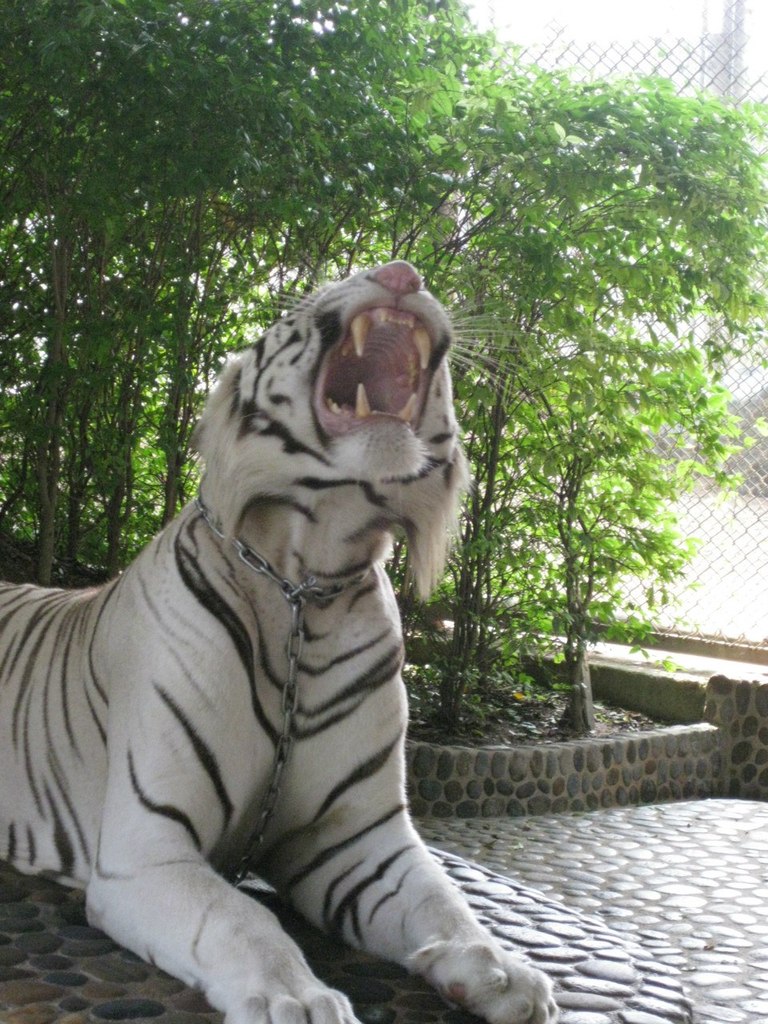 Сергей Савун | Нижний Тагил