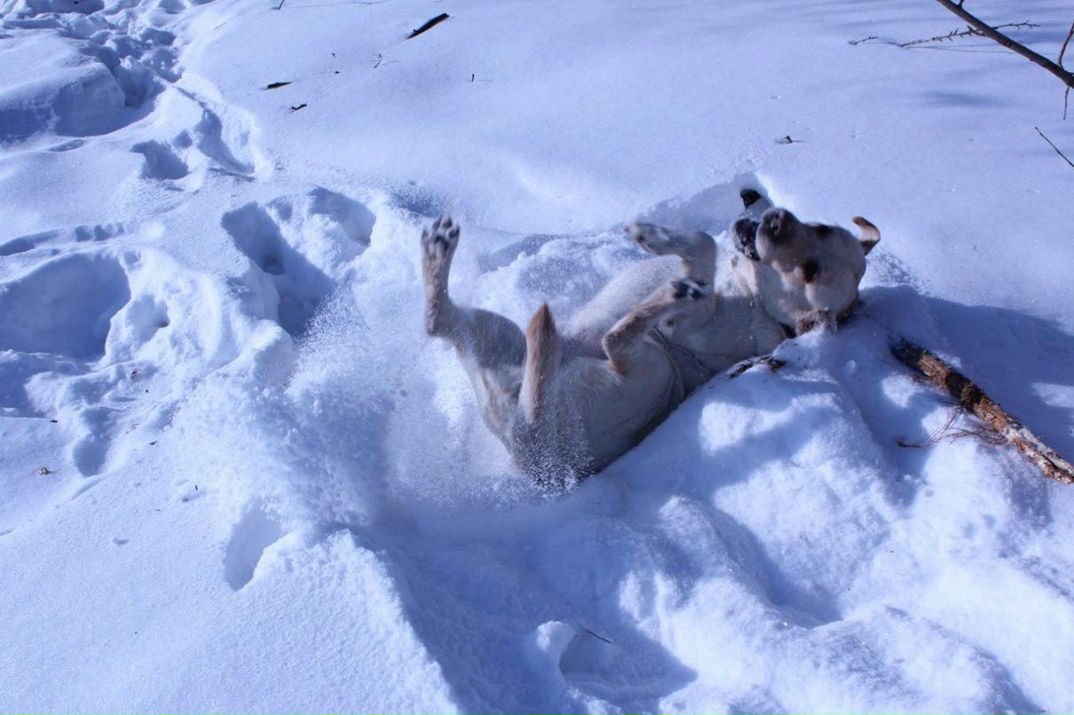 Антон Метальников | Люберцы
