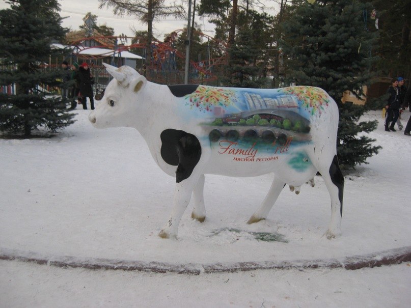 Наталья Катаева | Киров