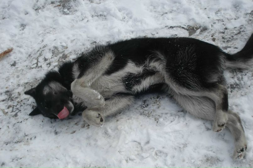 Елена Петрова | Санкт-Петербург