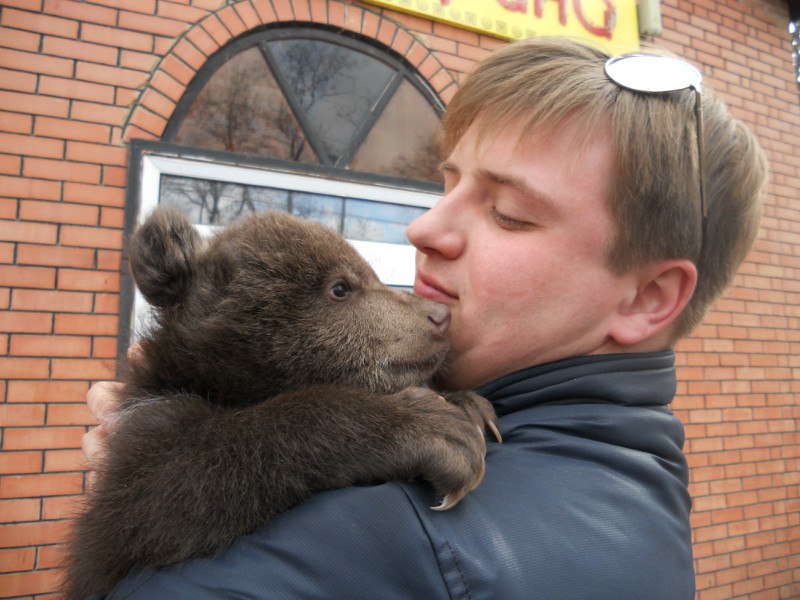 Дмитрий Лемищенко | Мариуполь