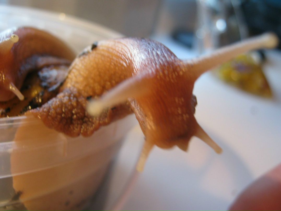 Наталья Загуляева | 