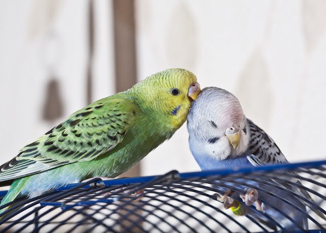 Галина Масалыкина | Оренбург