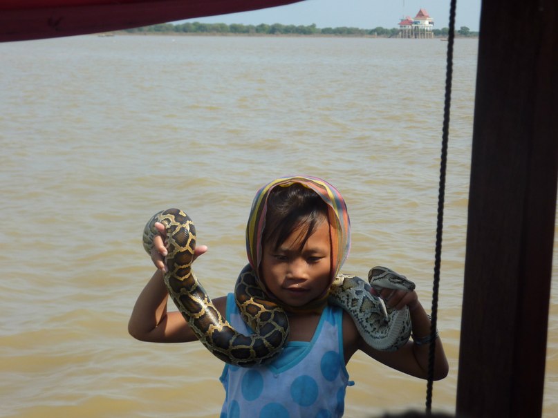 Вывсеумные Одинядурак | Хабаровск