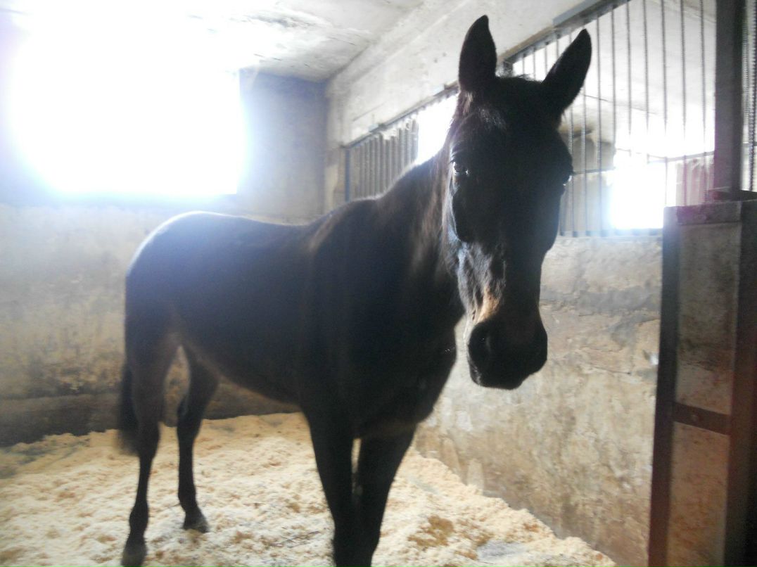 Таисия Медведева | Мытищи