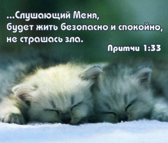 №11, Велюра Егорова №11, Велюра Егорова