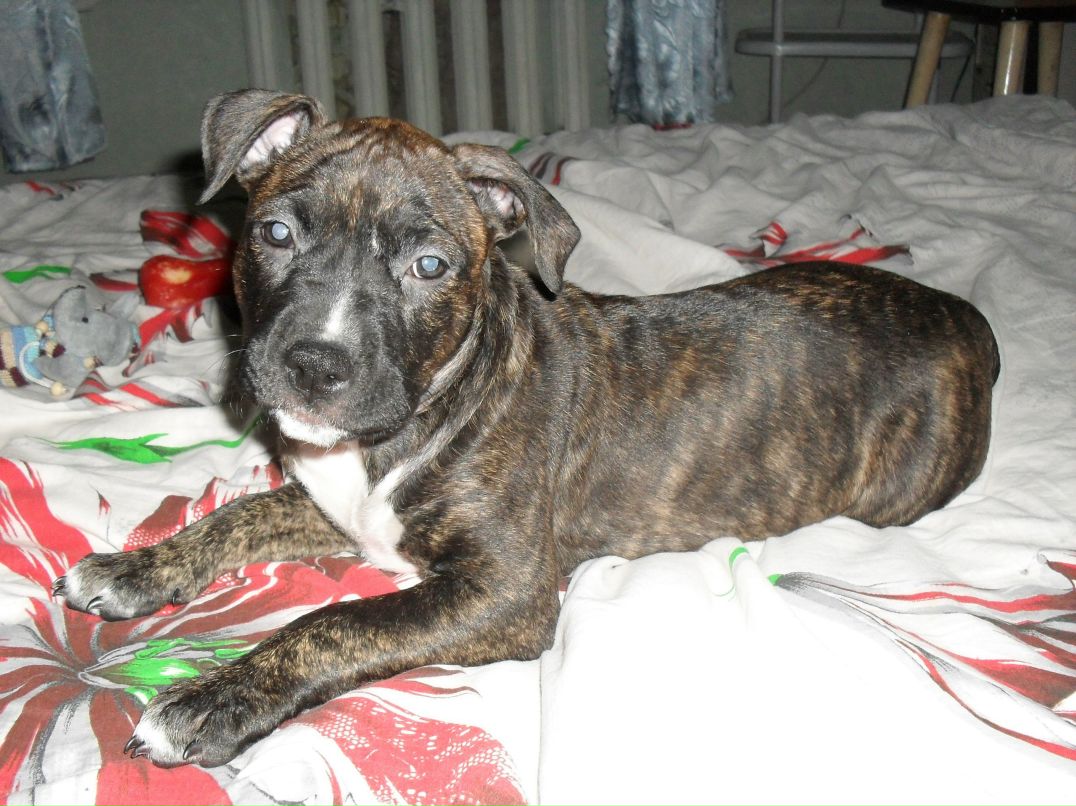 Олег Моисеев | Санкт-Петербург