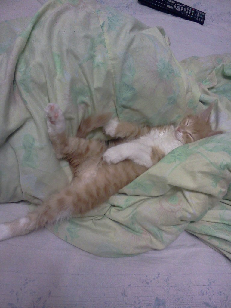 Антон Чиколай CooLlGhosT | Киев