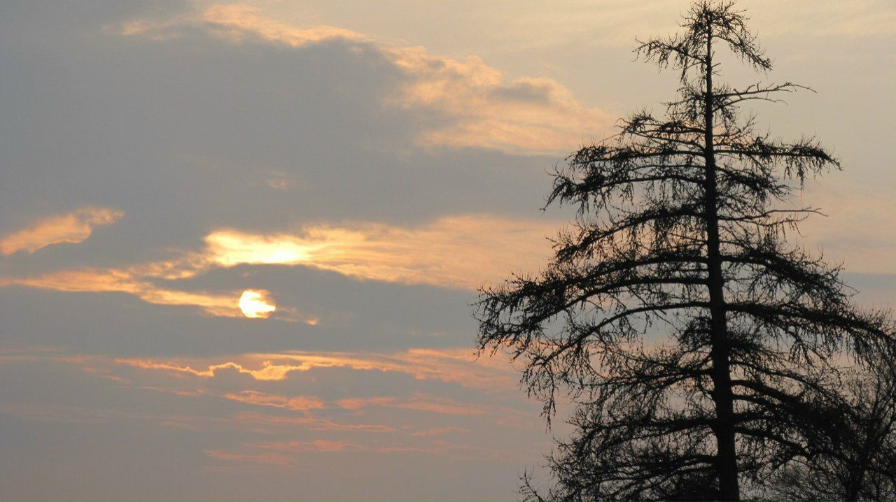 Ганна Генералюк | Warszawa