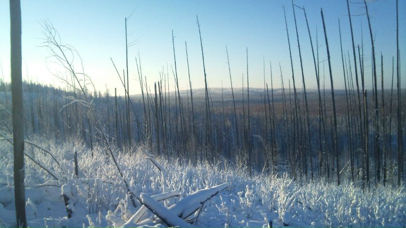 Сергей Кононов | Нижняя Тура