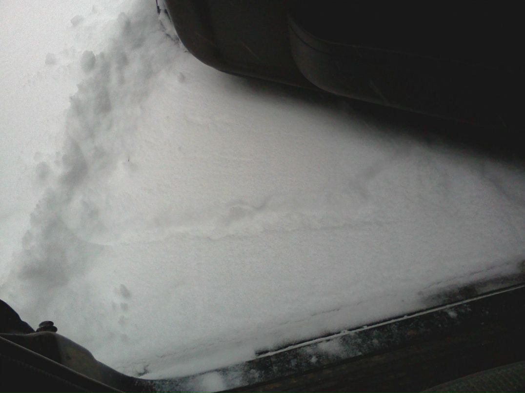 Александр Воронежский | Воронеж