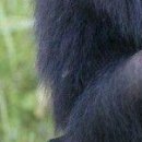 №101, Игорь Кузьмин, Санкт-Петербург №101, Игорь Кузьмин, Санкт-Петербург