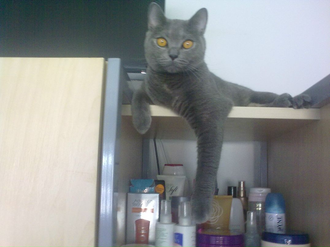 Katerina Tsernei | Силламяэ